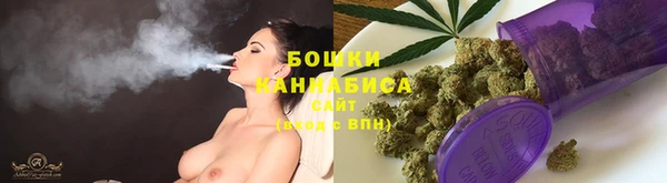 шишки Алексеевка