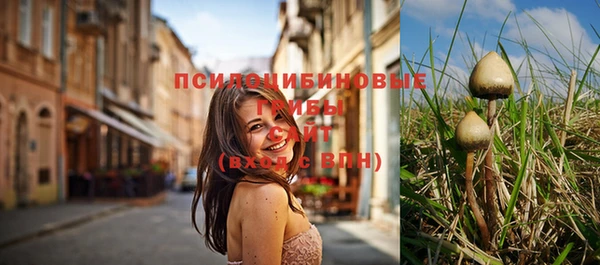шишки Алексеевка